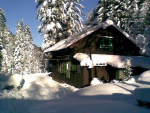 _wsb_300x225_19122007_28004_29