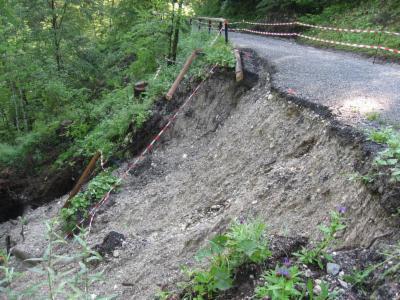 _wsb_400x300_IMG_6184